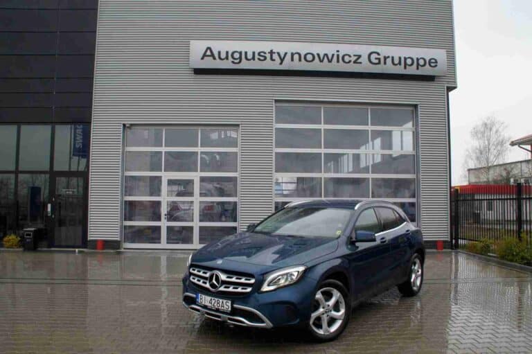 X176 GLA220 4Matic